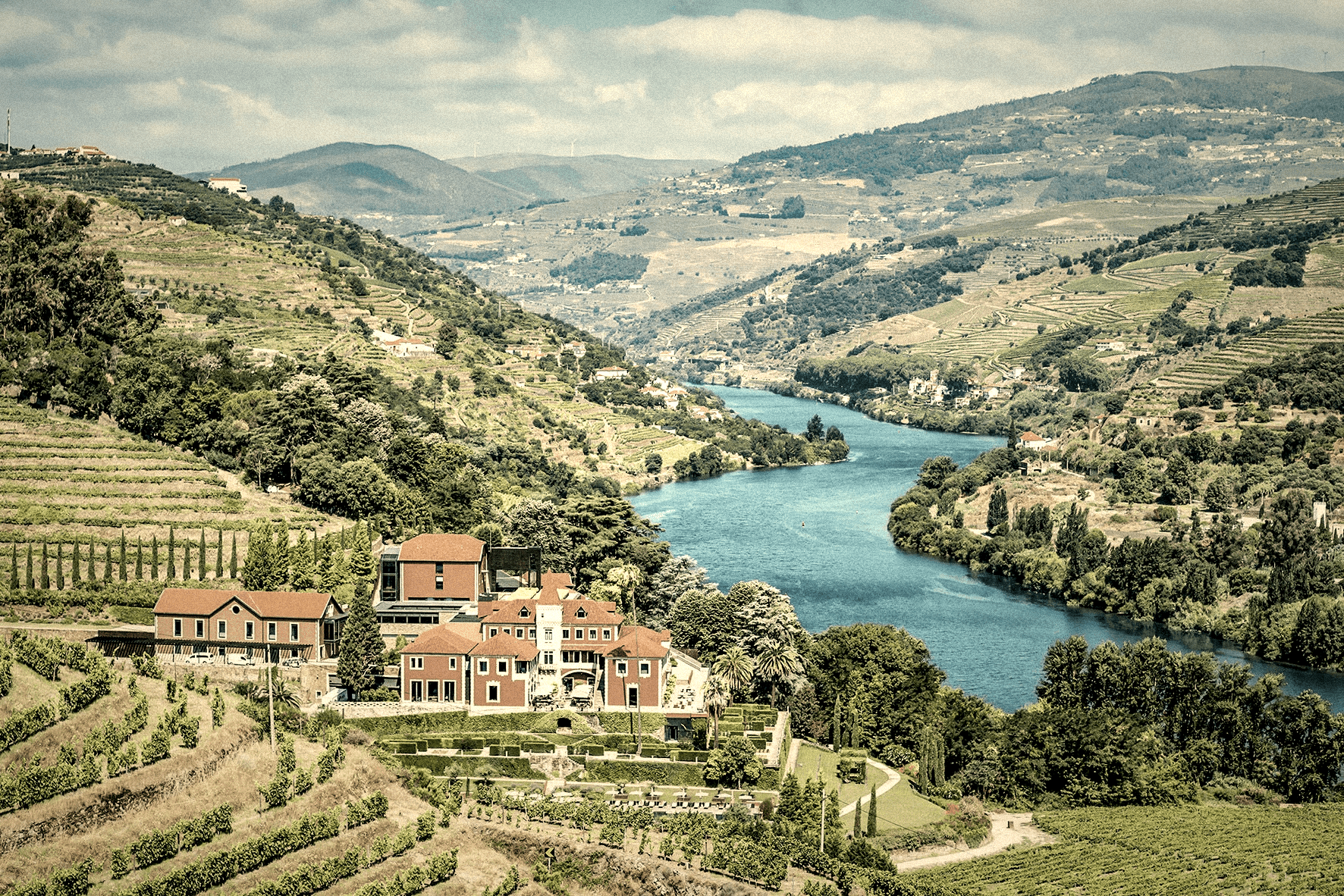 Dynamic picture of a cyclist riding downhill