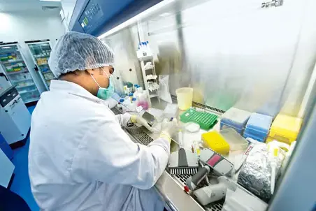 Scientist wearing protective gear pipetting samples inside a laboratory biosafety cabinet