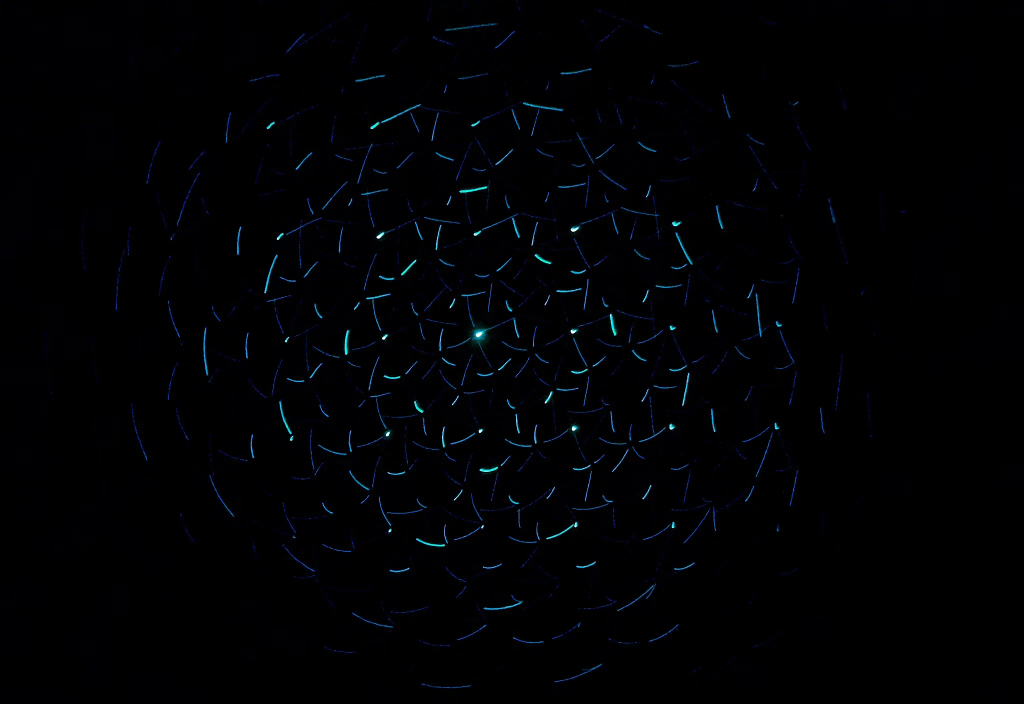 Light decorations in dark area