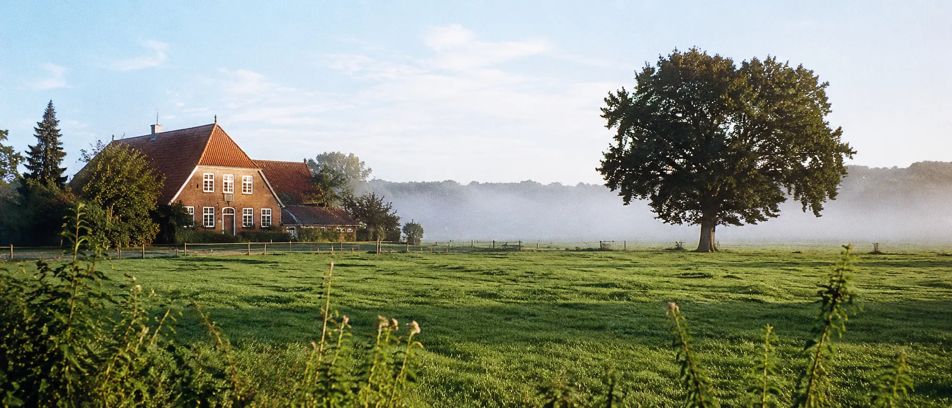 Niedersächsische Landschaft mit Backsteinhof, weiter Wiese und einzelner Eiche im Morgenlicht