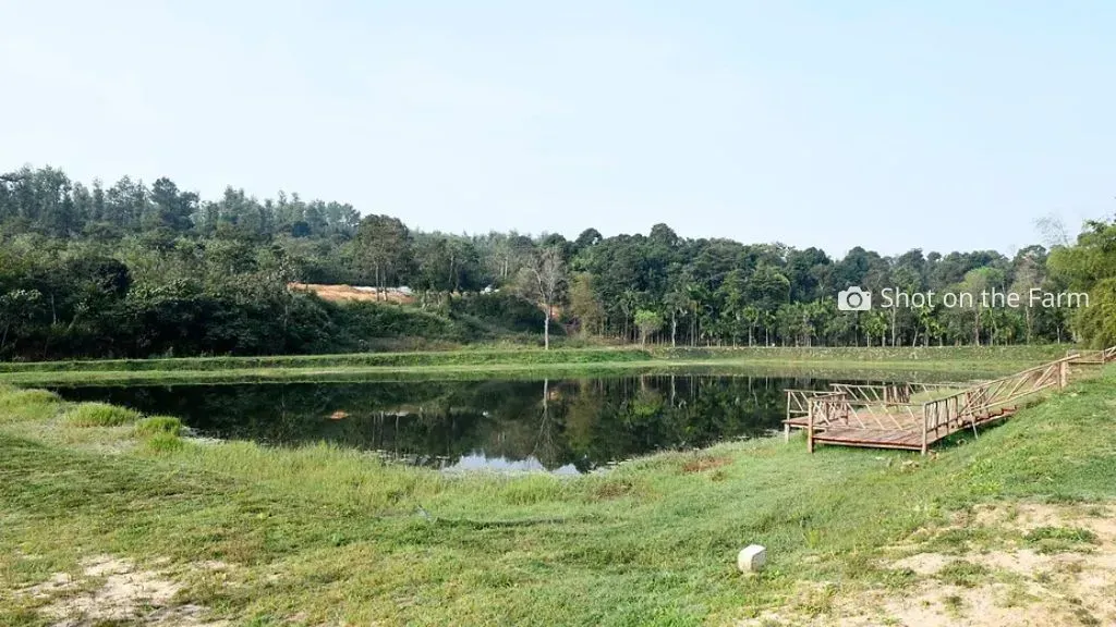 Swasya Living&nbsp; Man Made Lakes.webp