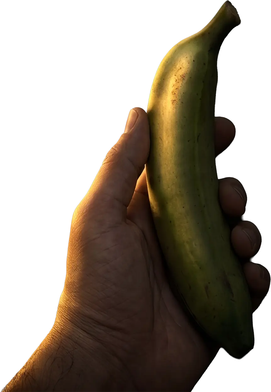 Main tenant une banane verte