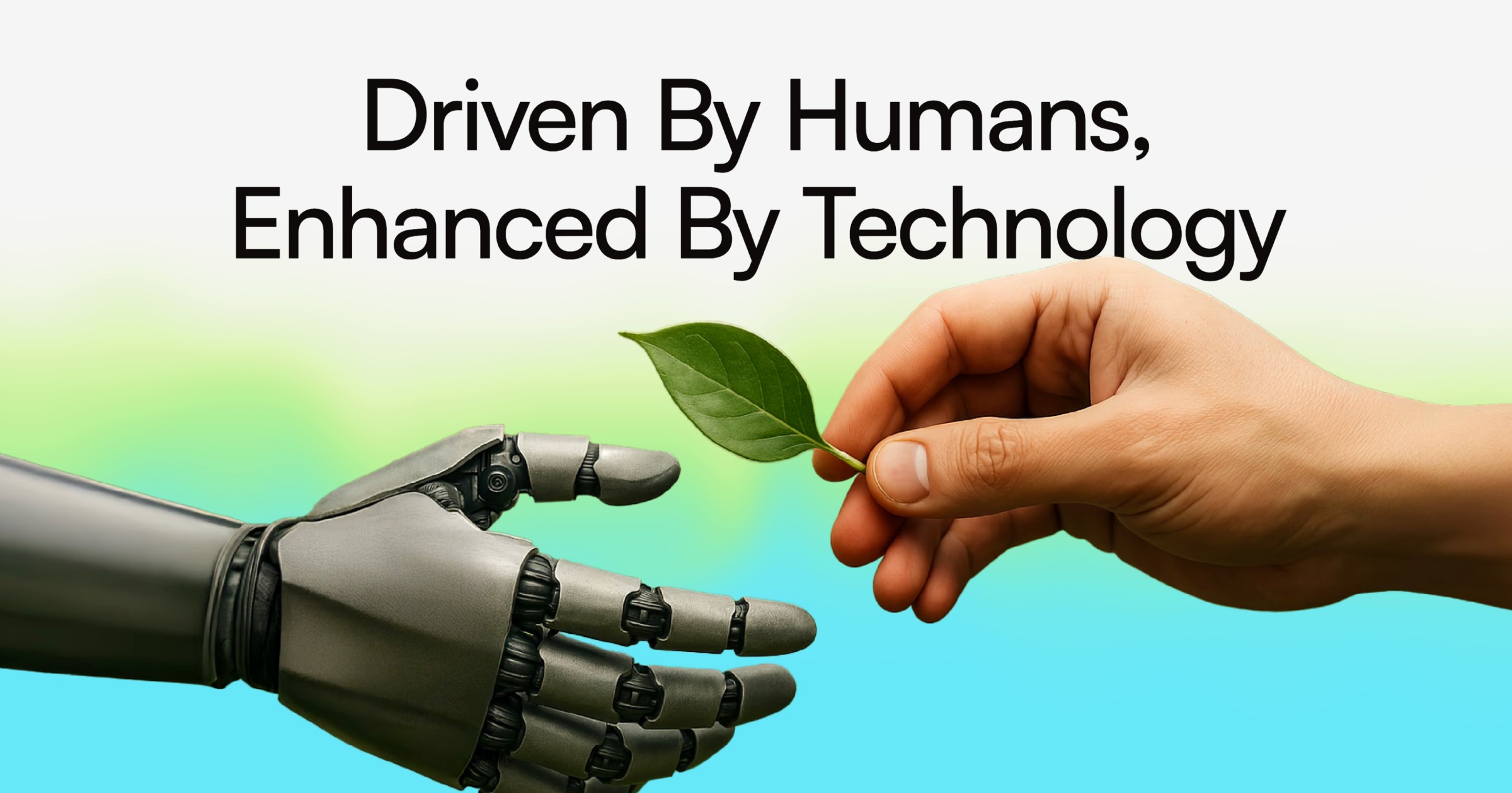 Custom Databases Outsource Data Cleansing Services The Smart Way