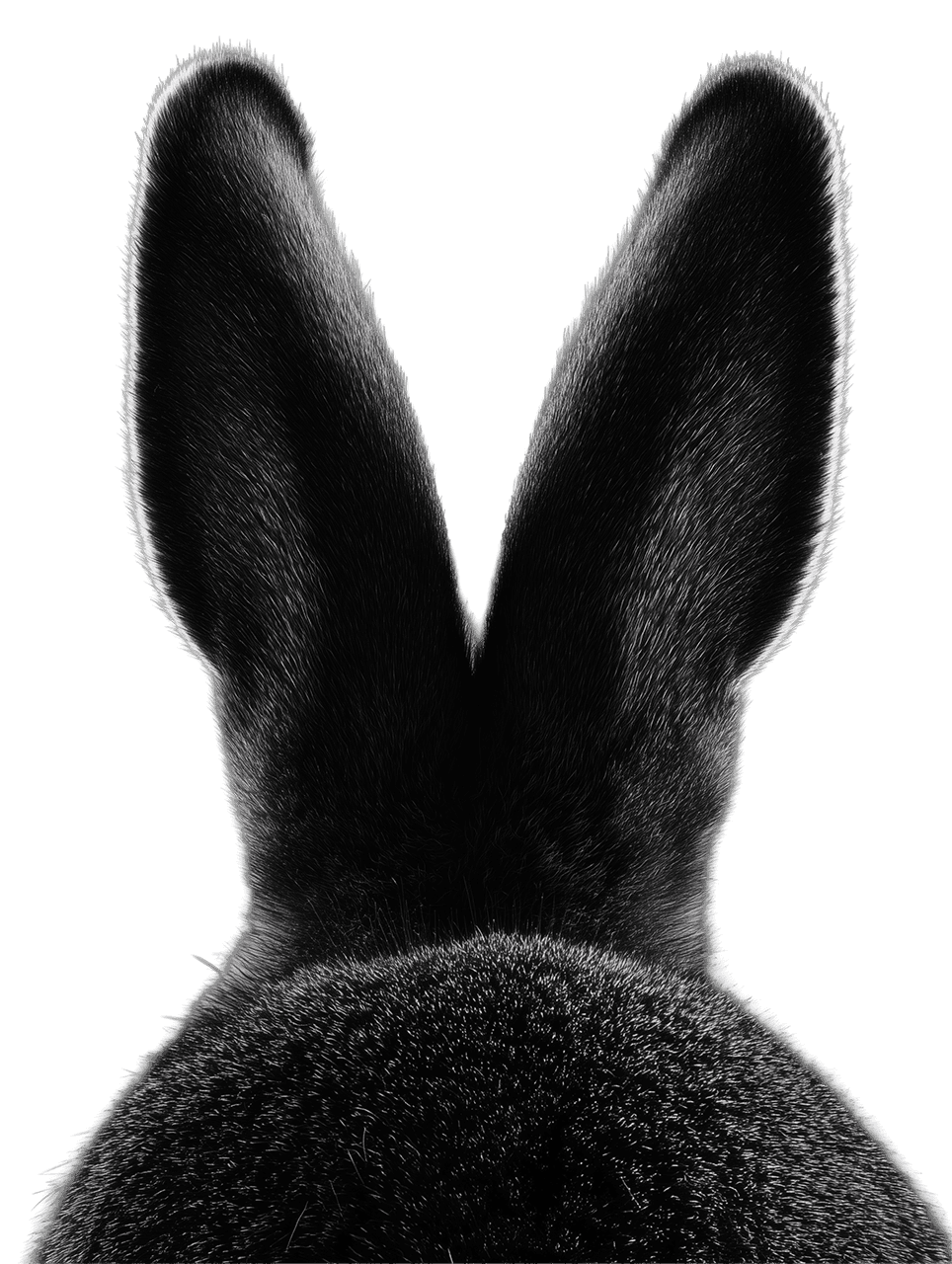 Razvoj proizvoda i izrada prototipova