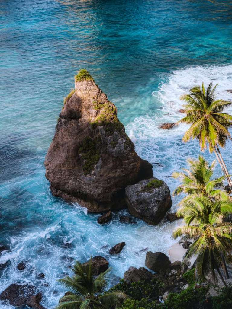 rocks and palm trees by the ocean, bali