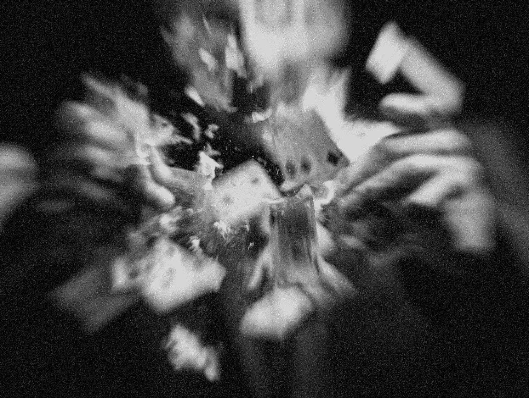 A burst of dark floral or organic material exploding against a black background