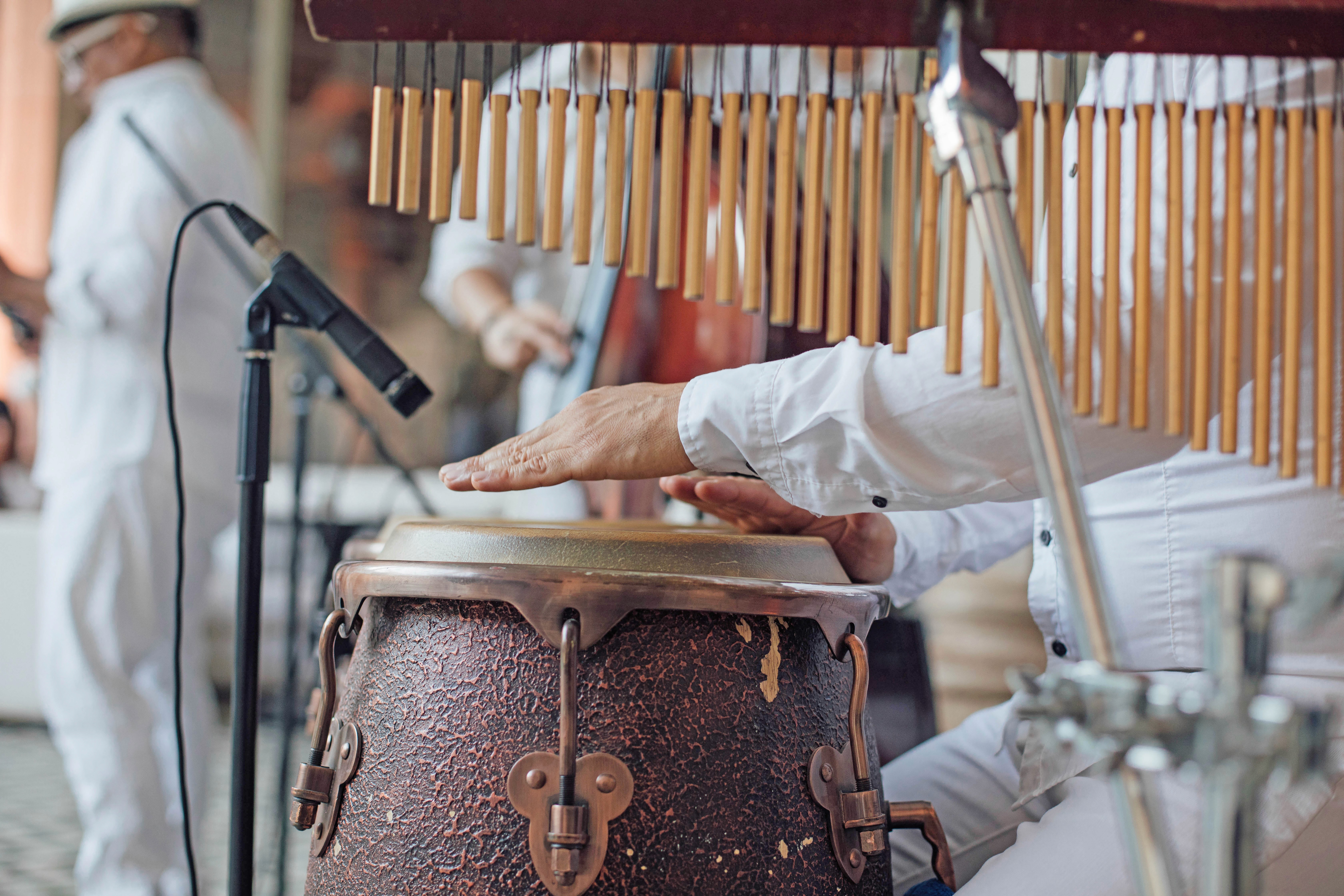 Group of girl portrait in the garden