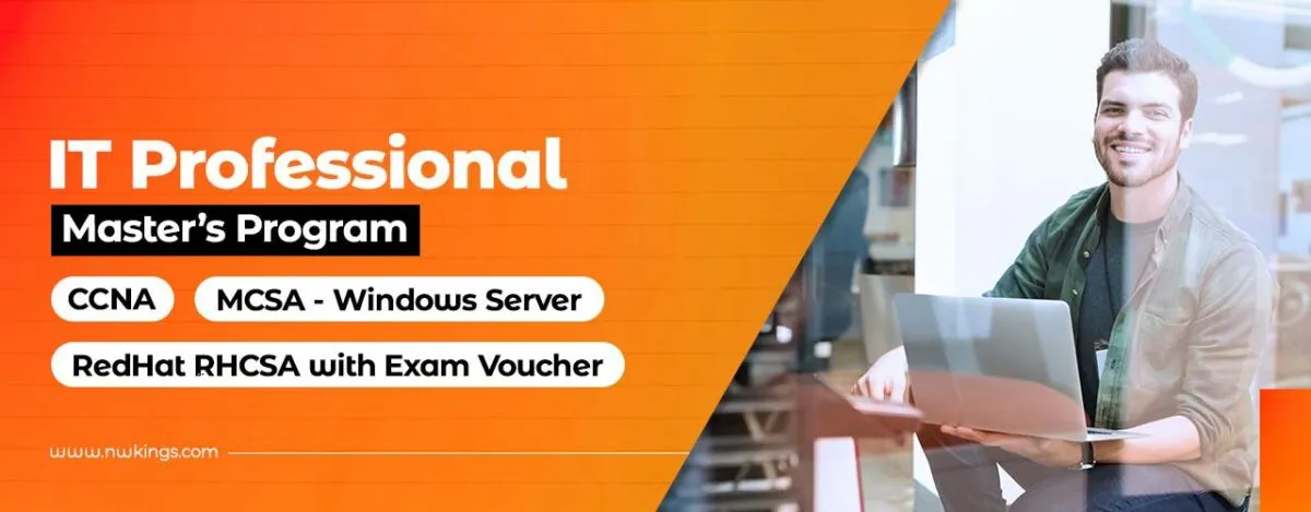 IT Professional