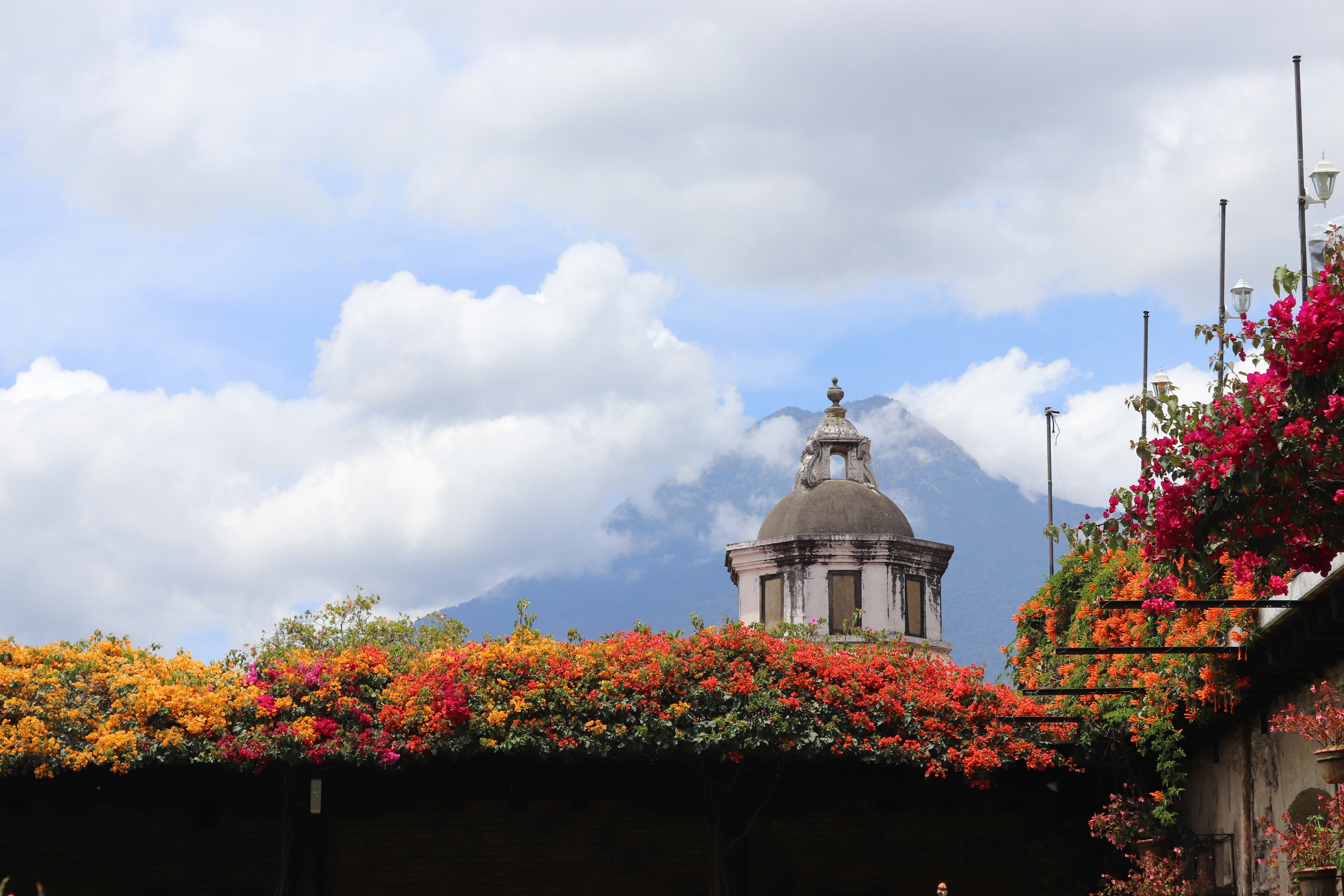 white and gray concrete building surrounded by flowers under white clouds and blue sky during daytime