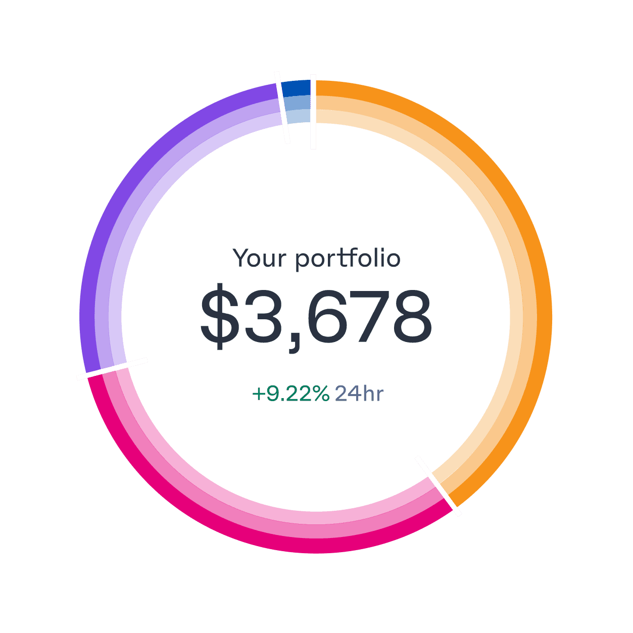portfolio-ring-breakdown