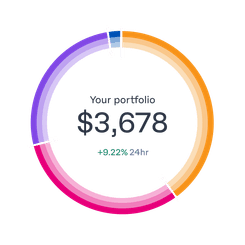 portfolio-ring-breakdown