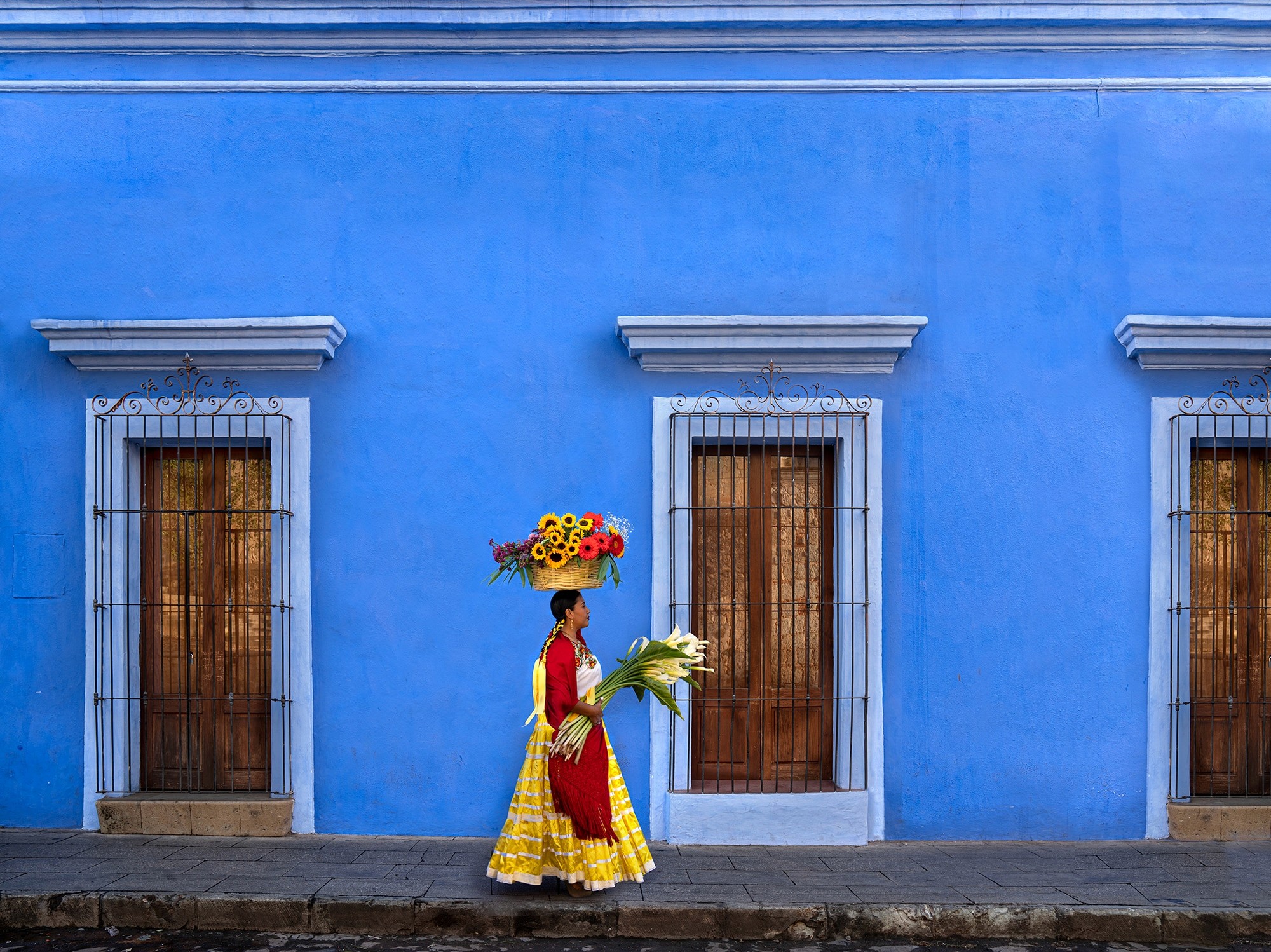 Trusting in the Promise of Blooms: A Story from Oaxaca
