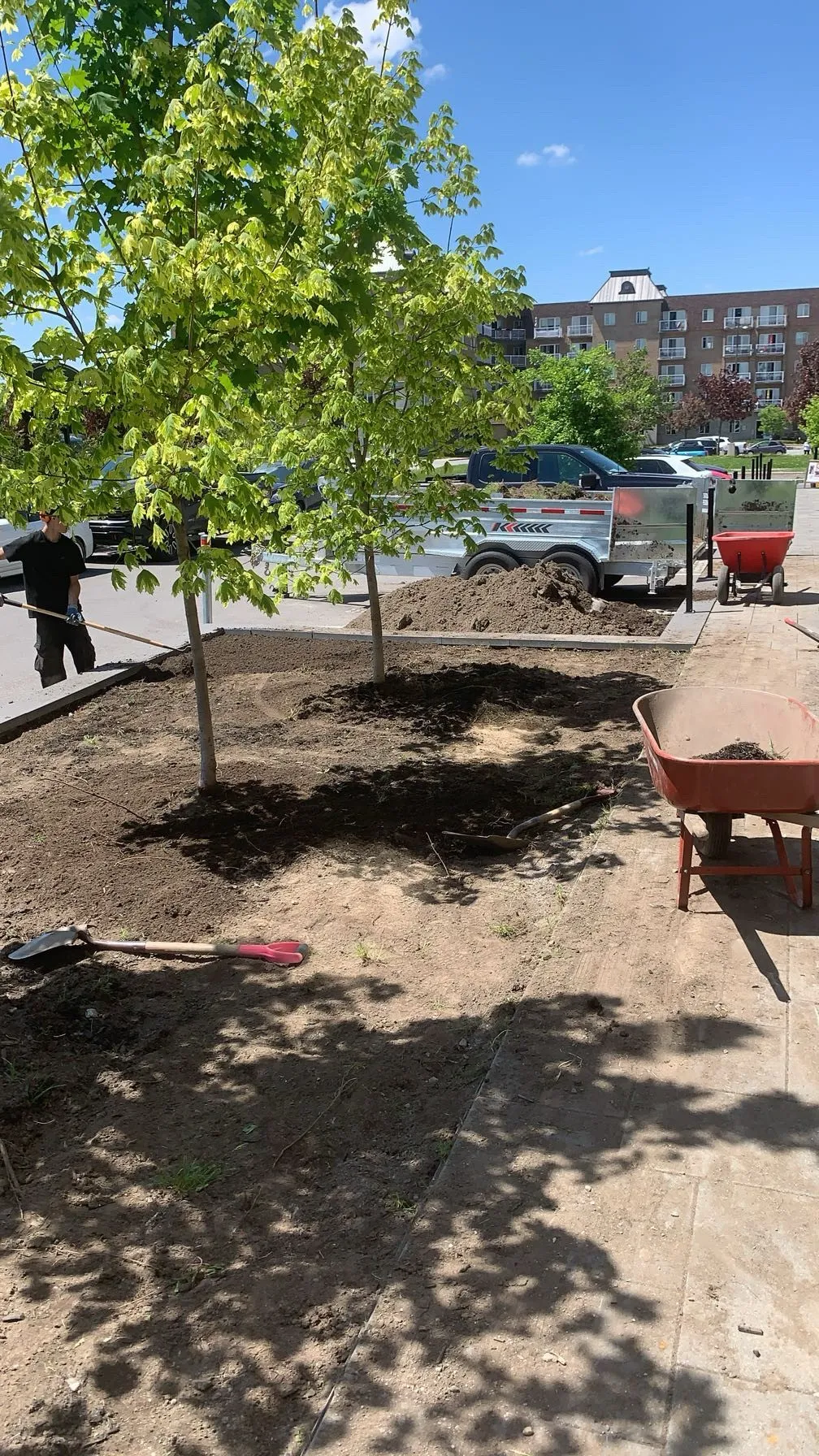 Aménagement paysager avec arbre et espace de repos réalisé par Pelouse Men Paysagement près d’un plan d’eau.