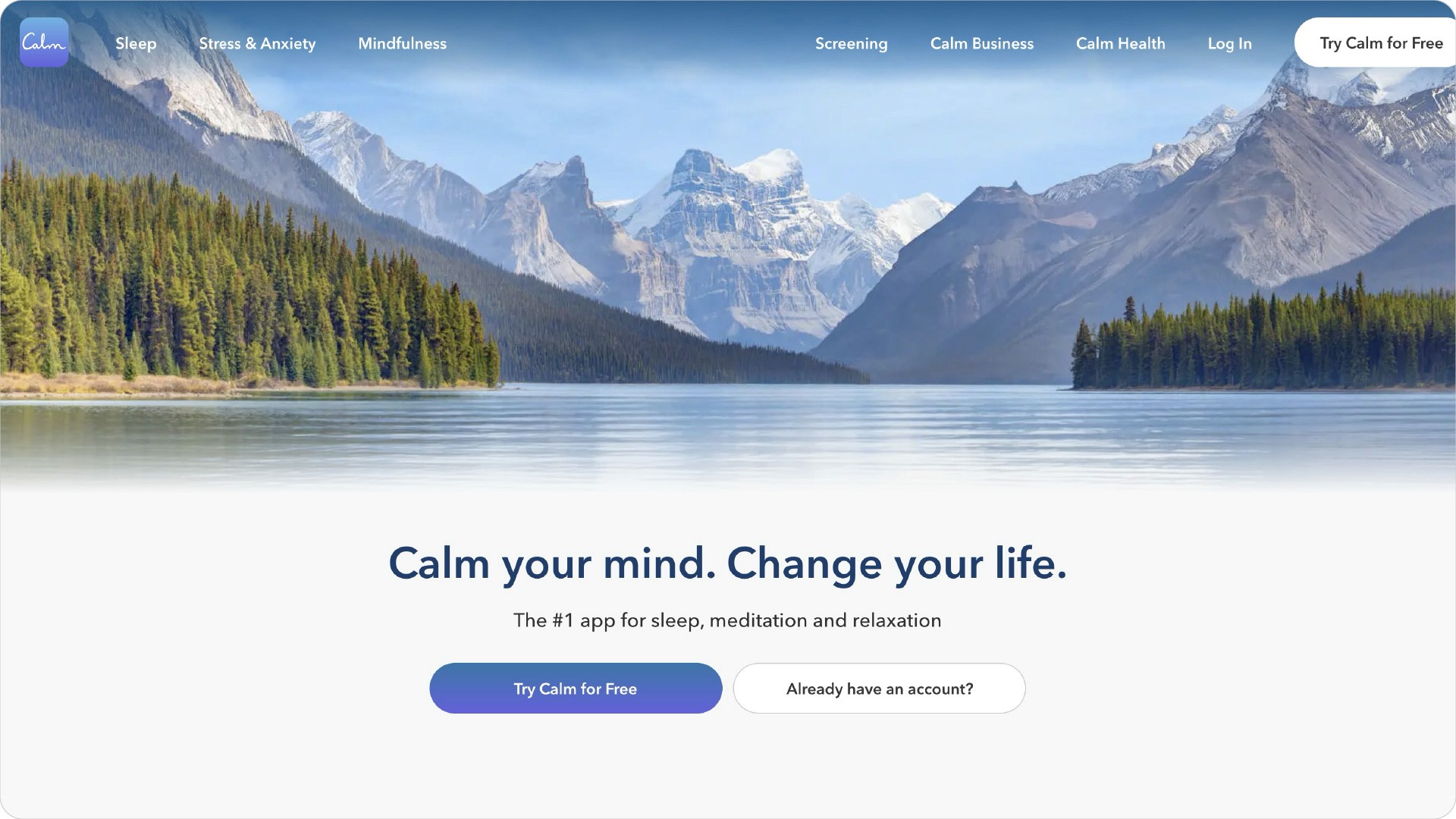 DesignGuru_10 Best Landing Page Designs in 2024: Inspiration to Skyrocket Your Conversions_Calm