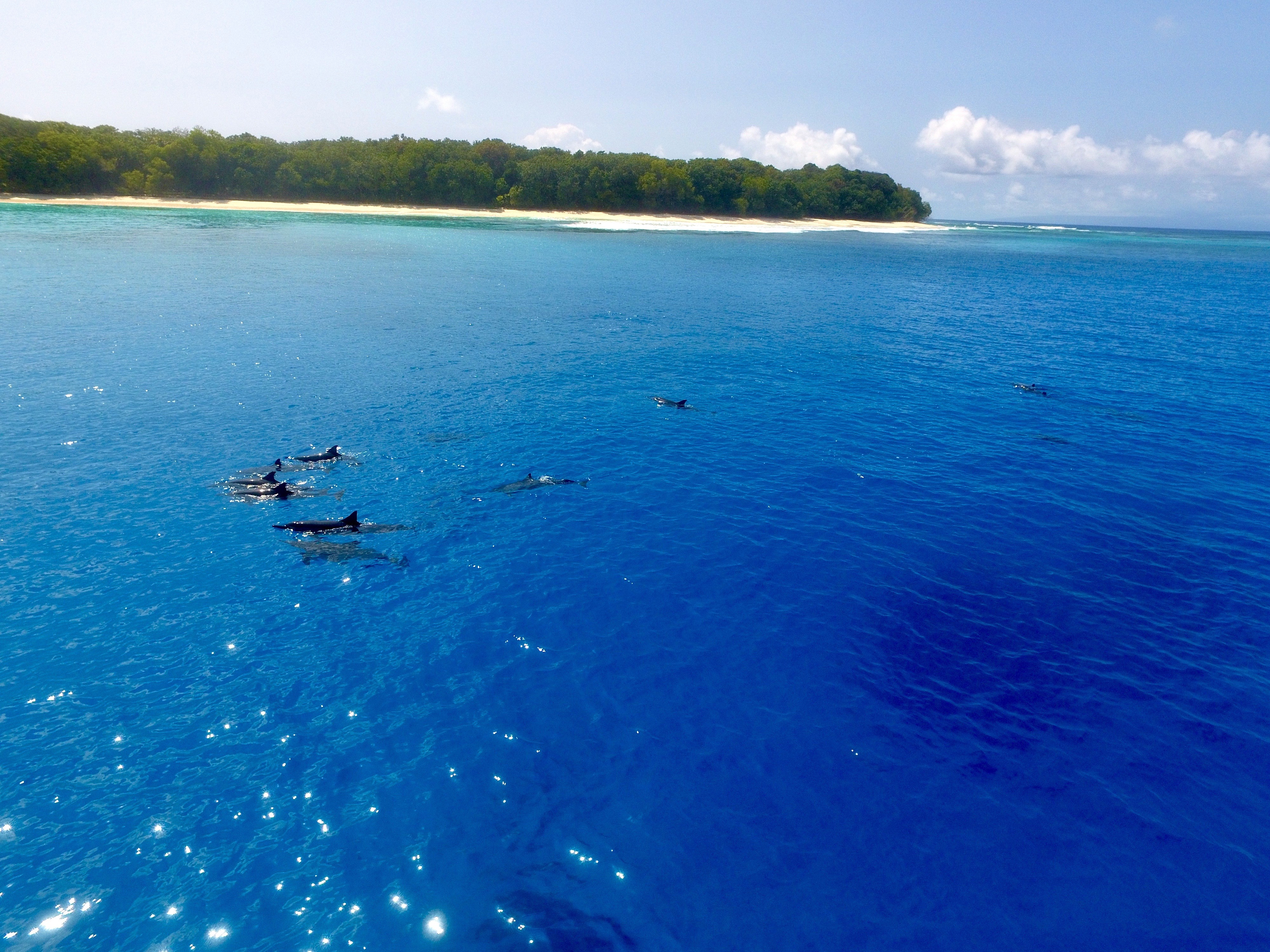Blue Island