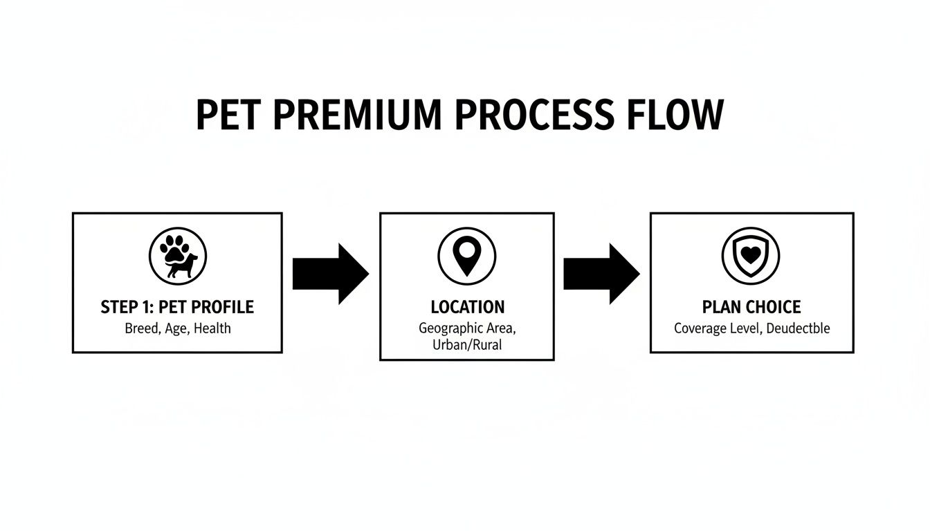 Pet insurance premium process flow diagram outlining steps for profile, location, and plan choice.