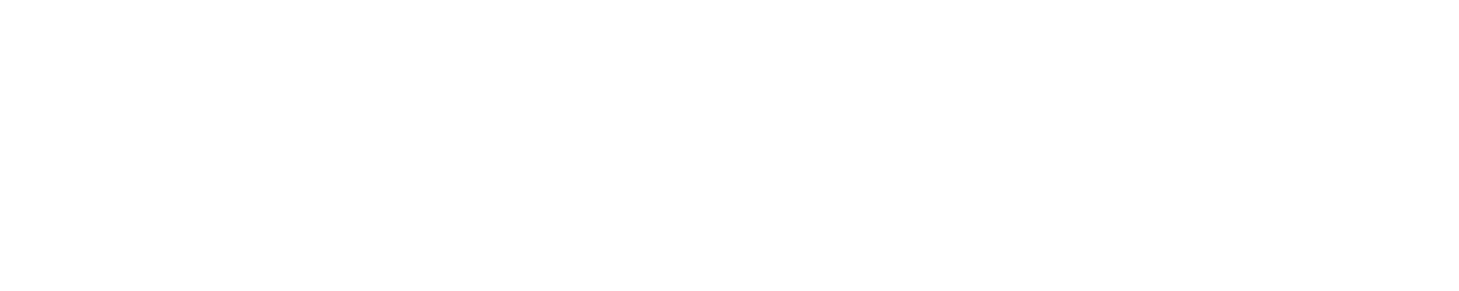 Perform Template Logo