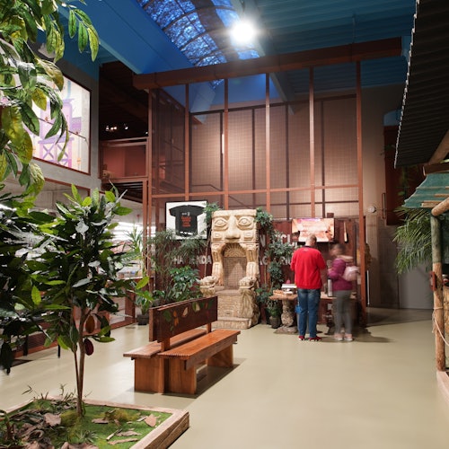 探索墨西哥可可種植園，品嚐可可飲品，還有獨特的電梯乘坐體驗，讓你在集裝箱內遊覽！