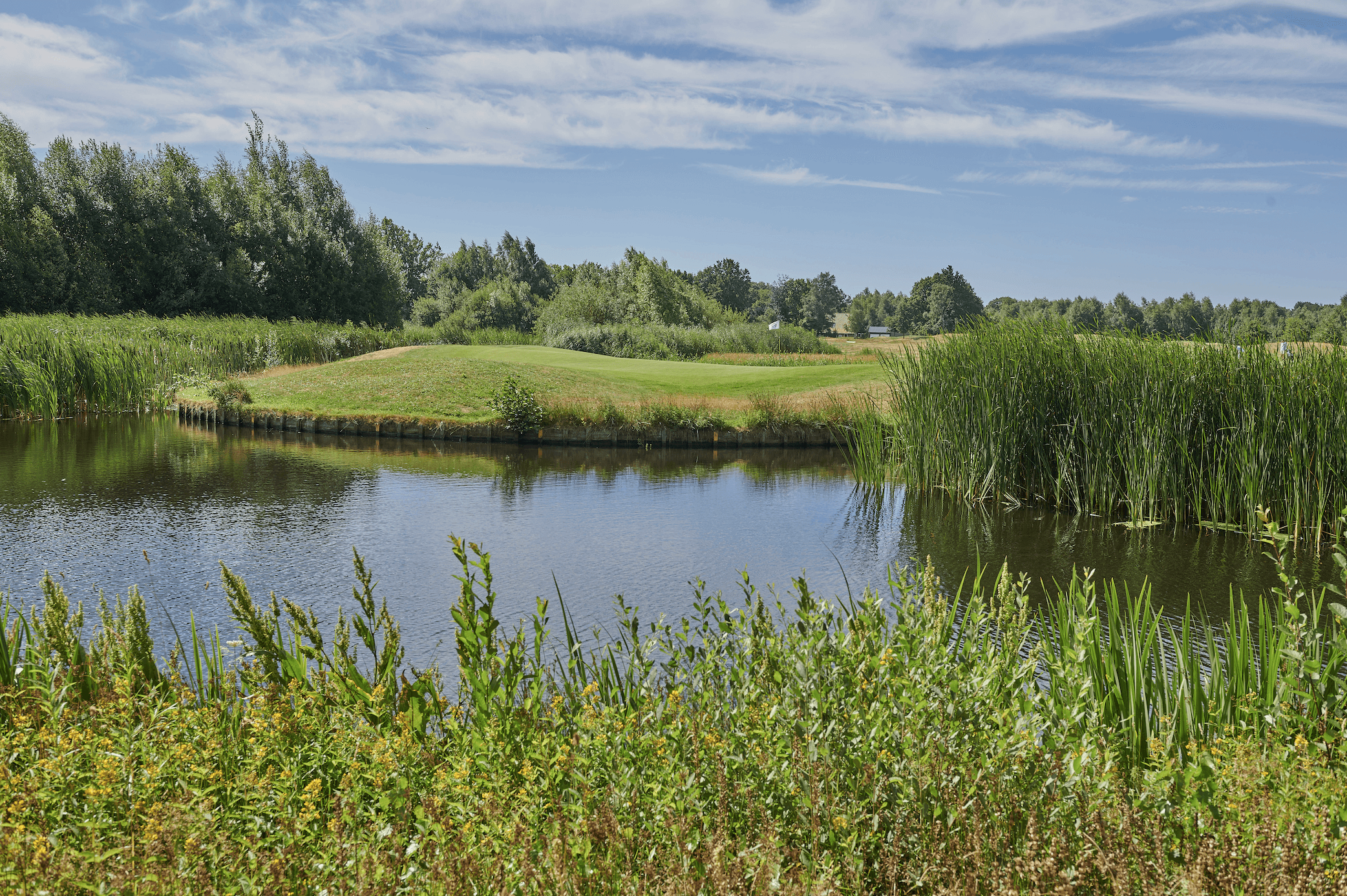 People in the office