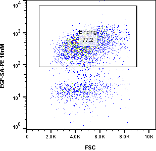 10 nM EGF EGF yeast display FACS binding plot thumbnail