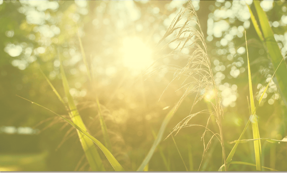 A marketing image for Pocket.