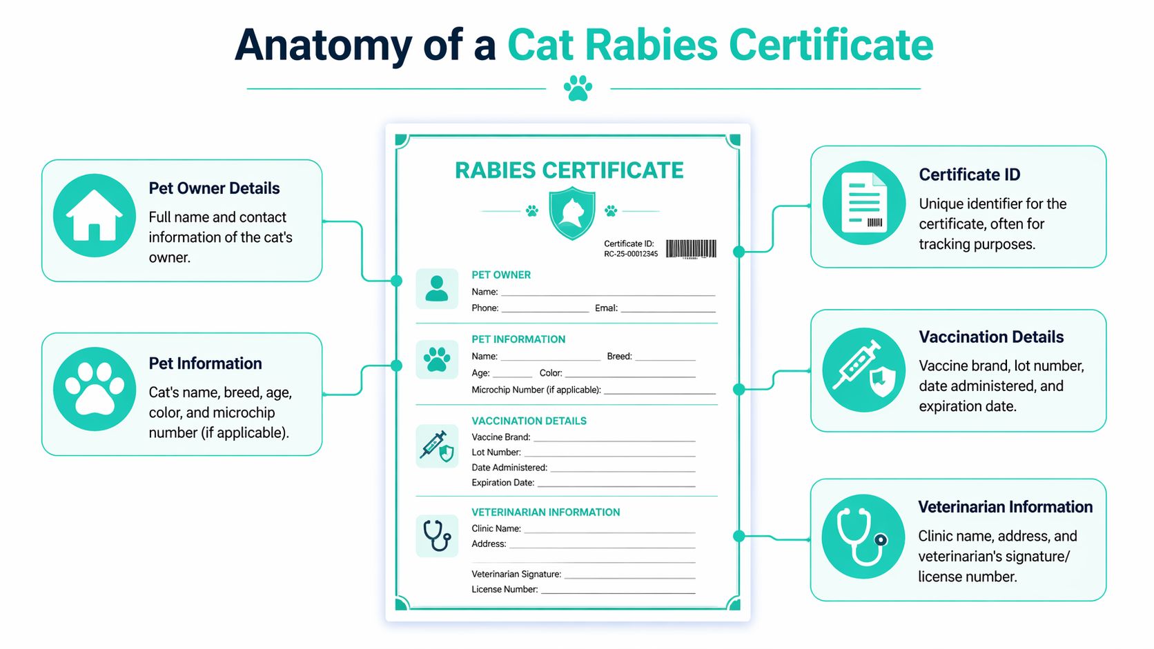 An infographic showing the structure of a cat rabies certificate with labels for all required sections.
