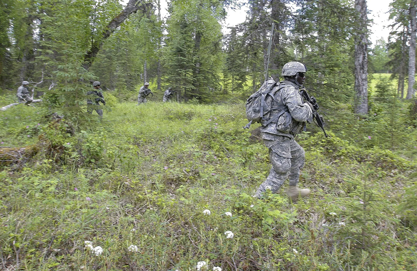 A cavalry squad moves through the woods on line during a dismounted live-fire exercise on the Infantry Platoon Battle Course at Joint Base Elmendorf-Richardson, Alaska