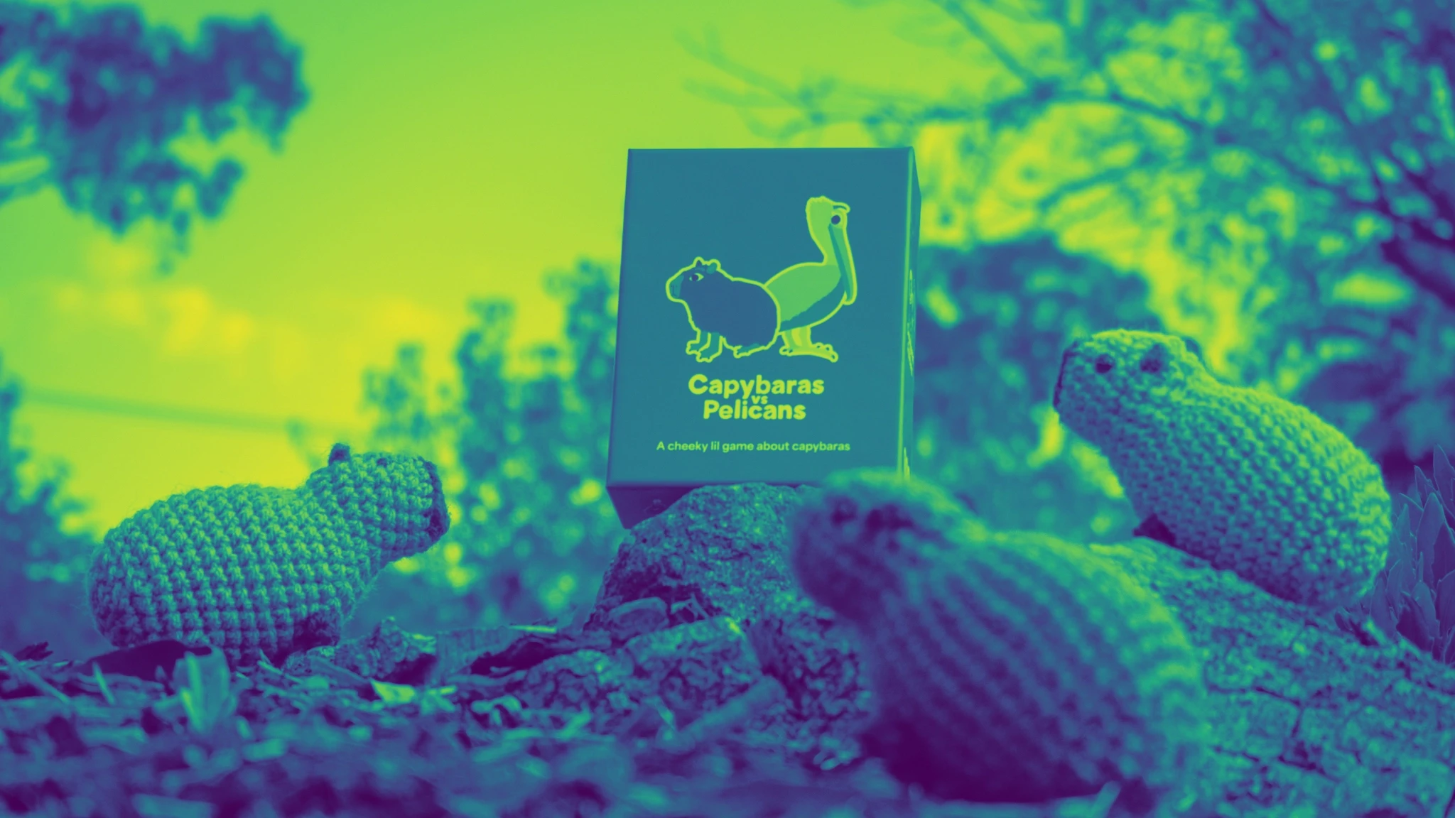 Capybaras vs Pelicans board game box resting on a rock alongside crochet capybara plushies.