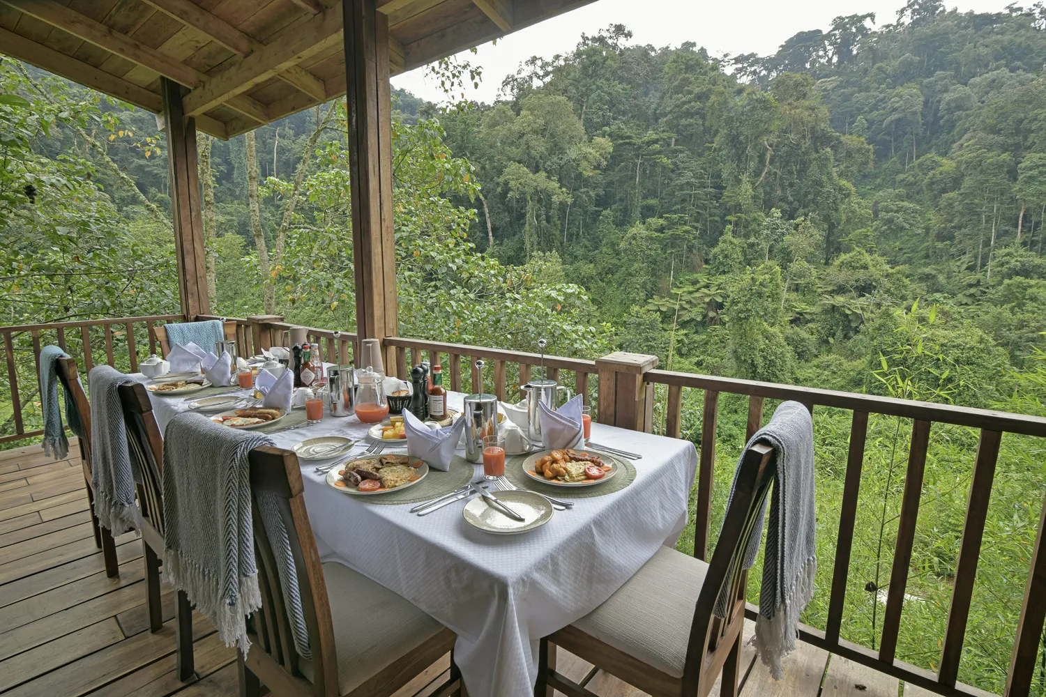 Gorilla mountain lodge, Uganda