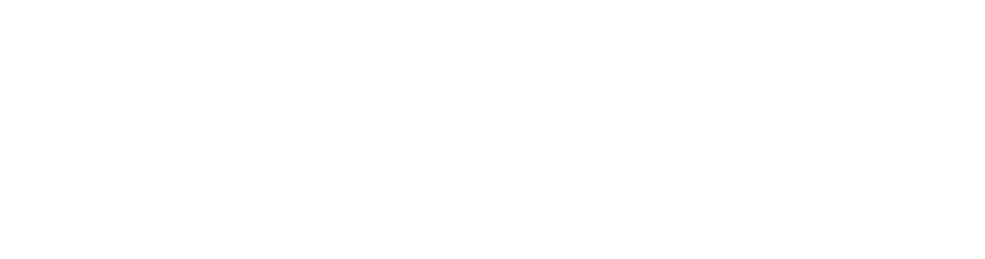 Logo featuring a plus sign and stylized text, conveying a sense of health and wellness.