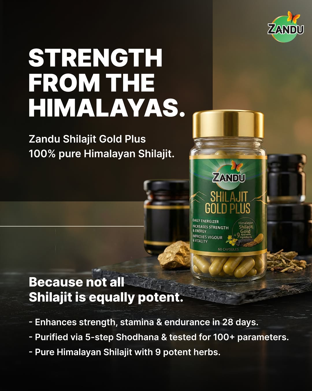 Zandu Shilajit
