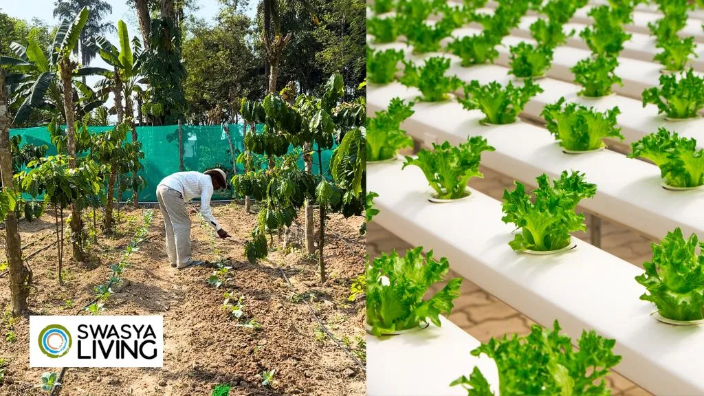 Difference Between Traditional and Modern Farming 