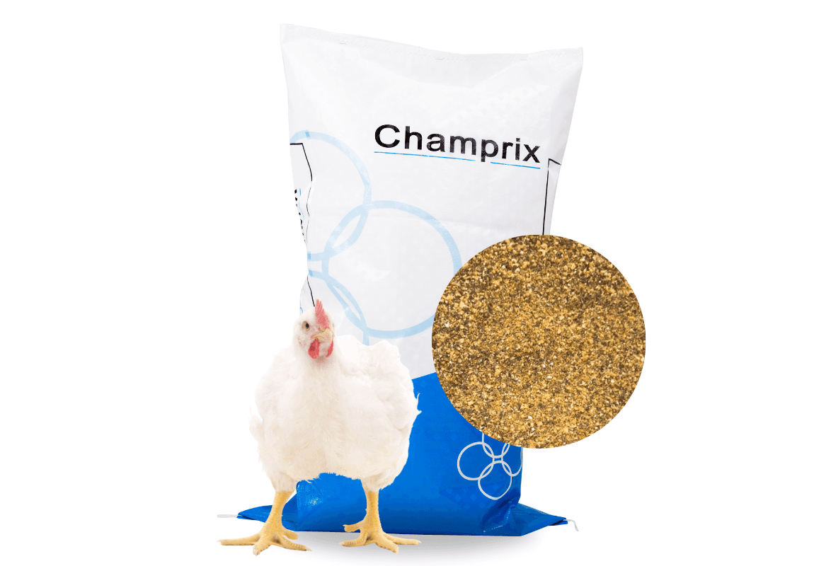 Champrix Broiler Concentrate 10%
