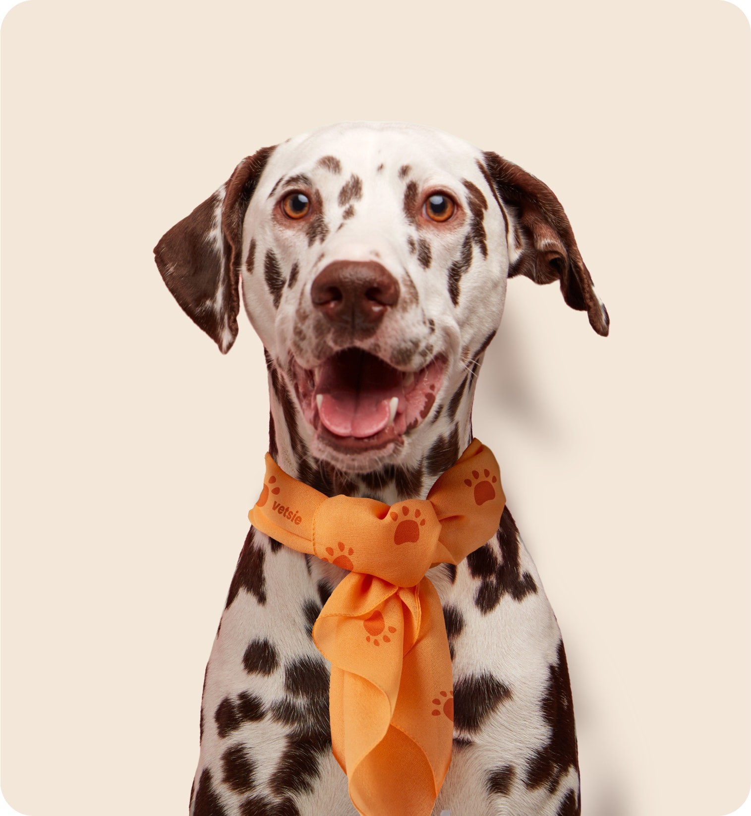 Person holding a blue LinkMatch branded mug while working on a laptop