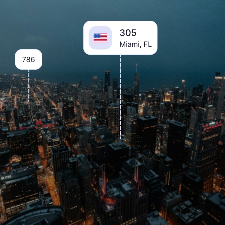 City skyline of Miami showing the 305 area code and surrounding area codes