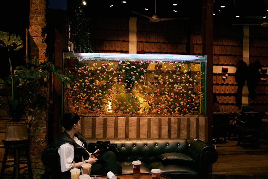 Person sits by a large aquarium at night.