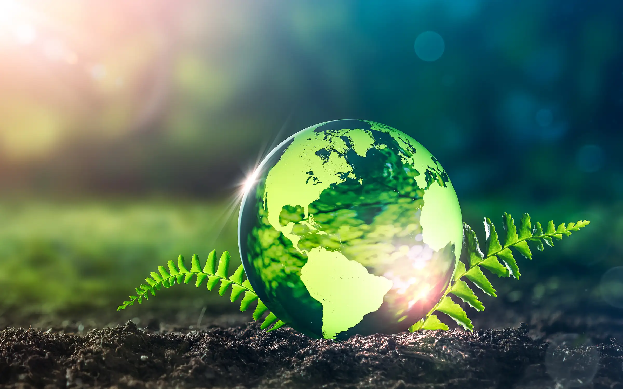 En sunn virksomhet med omtanke | Expa Travel