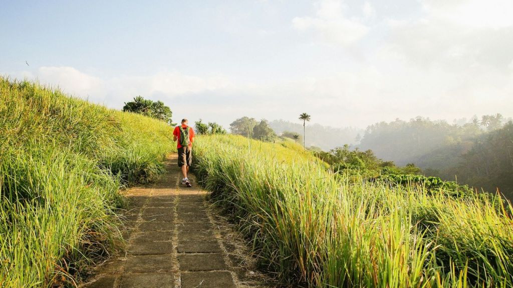 Man walking along the Campuhan Ridge Walk trail in Bali