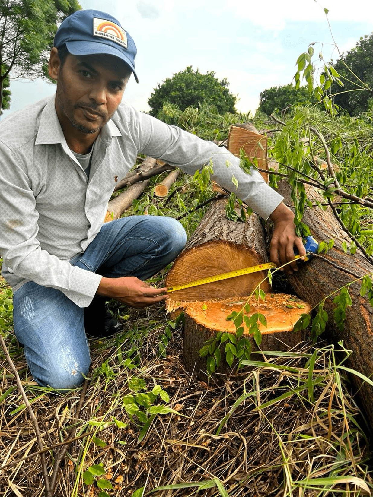 Gardener team at work