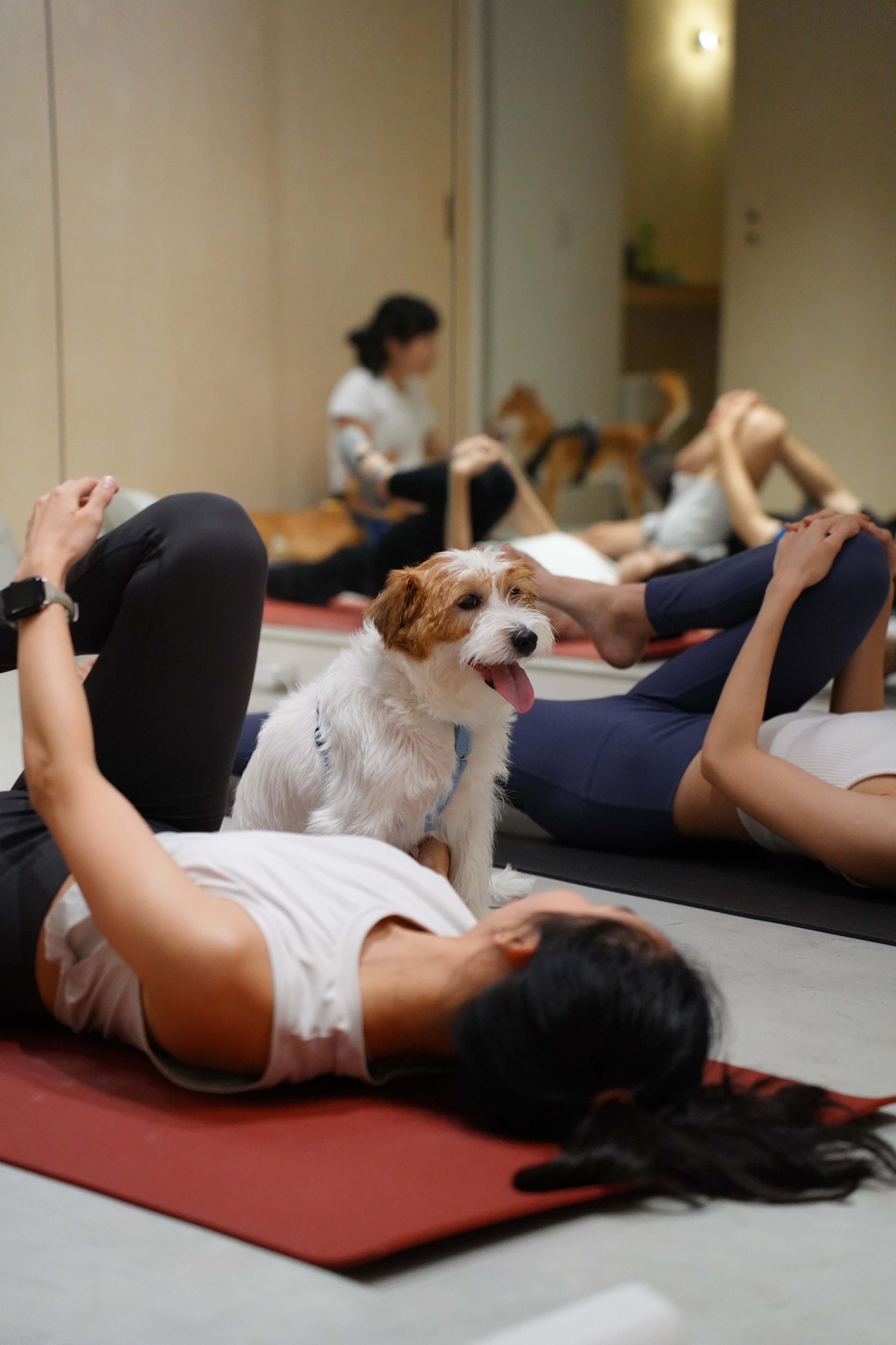 image of a sneaker in the dirt