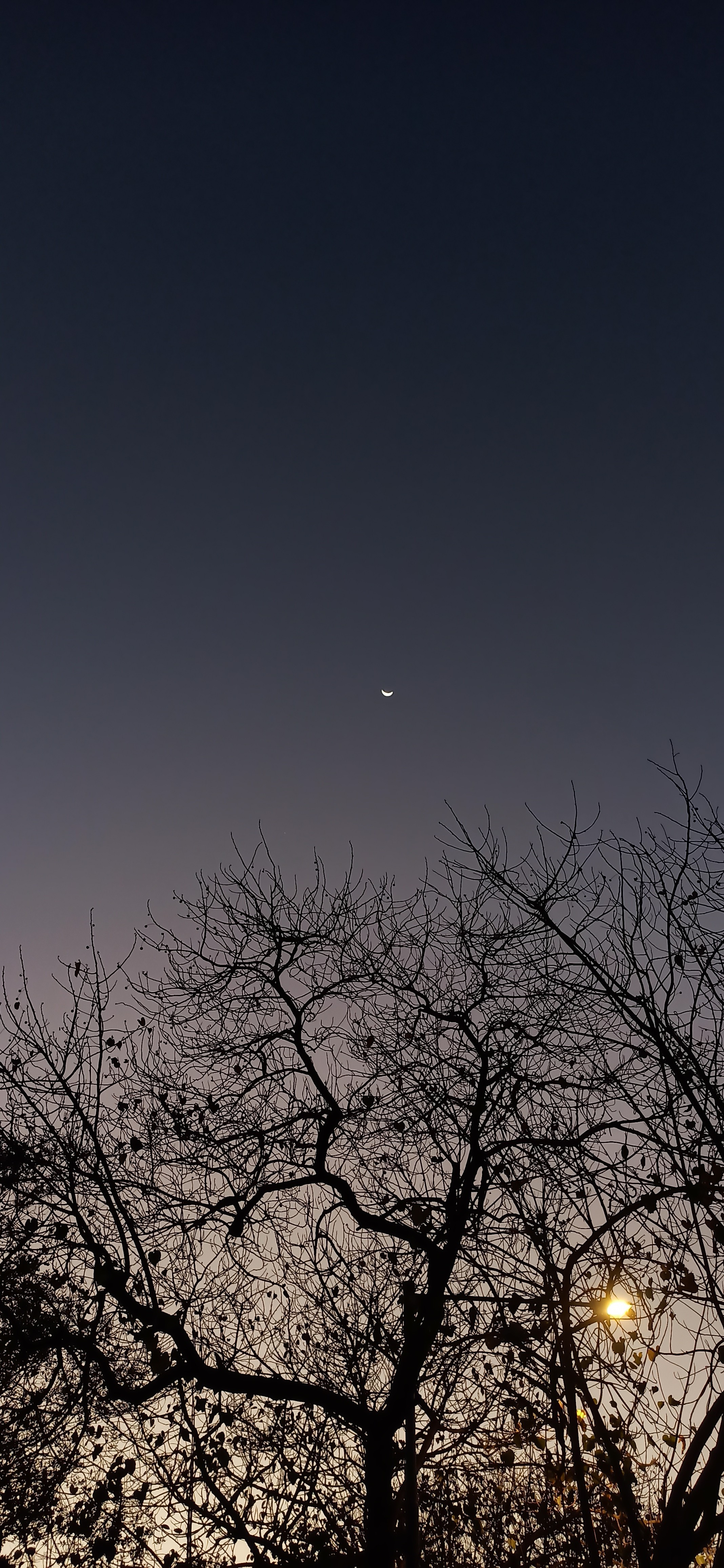 Night Sky