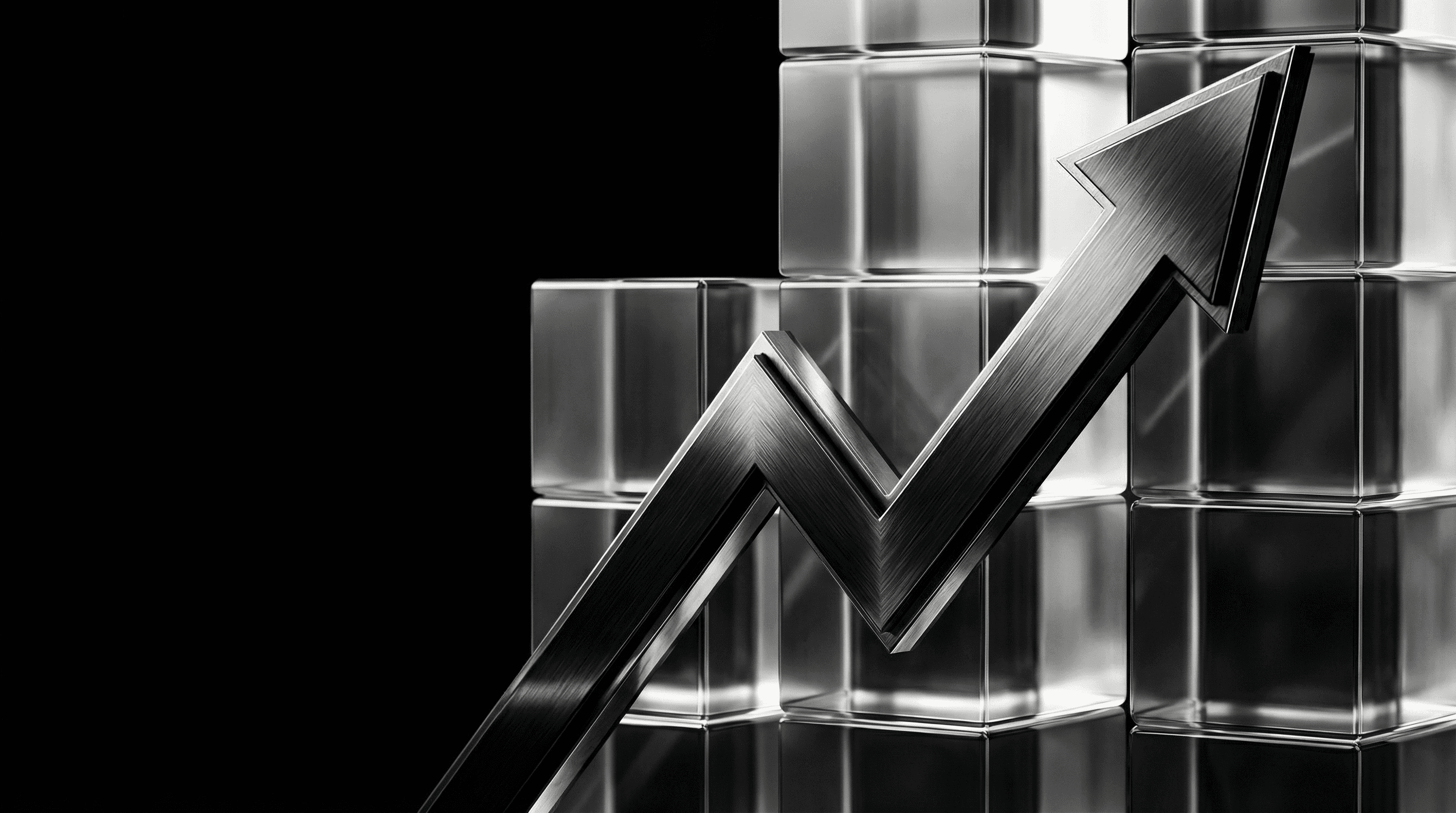 Close-up of a dark green leaf showing its textured surface and central vein against a muted background.