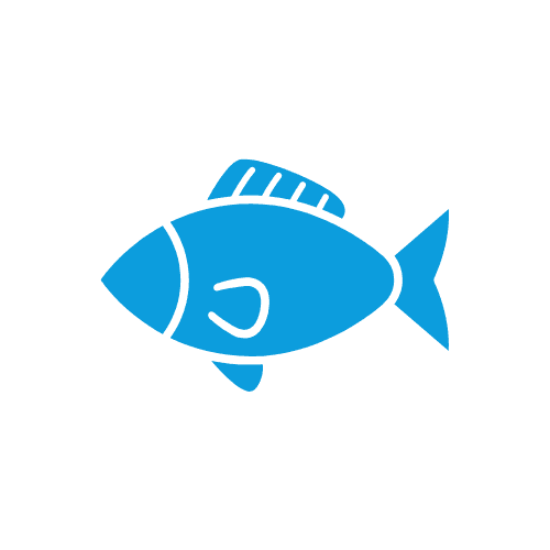 Aqua Icon