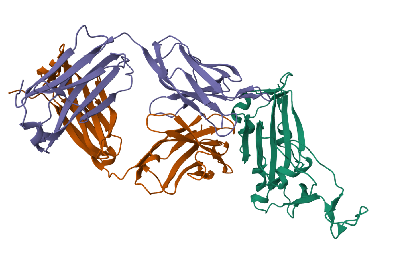 Boltzgen\_rank\_1\_structure (1).png
