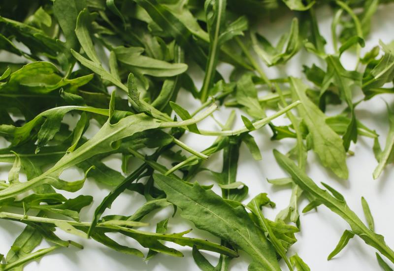Rucola