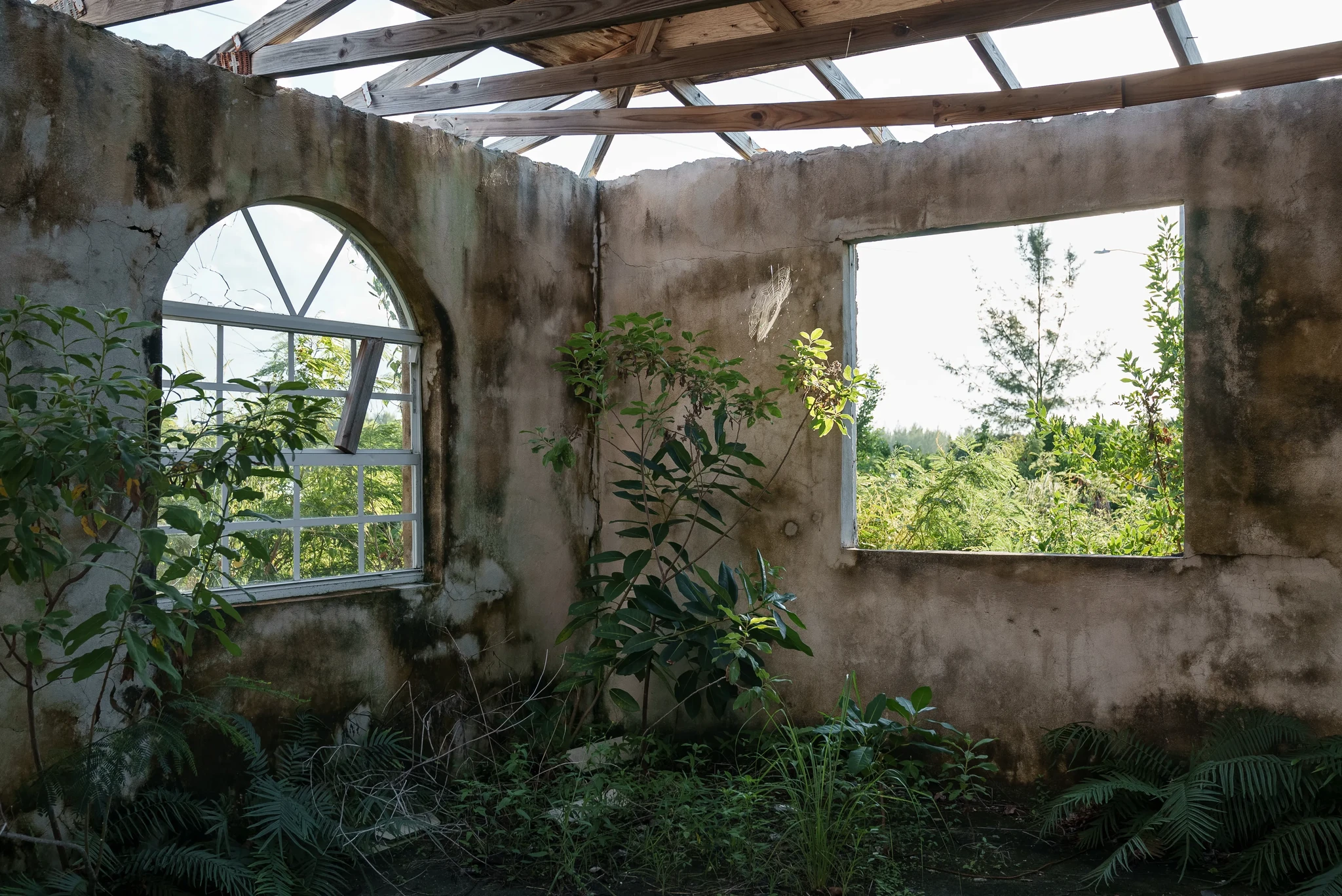 An abandoned building with no roof, featuring overgrown plants inside. Two large wall openings: a round-topped window on the left and a rectangular one on the right, revealing a green, lush landscape outside.