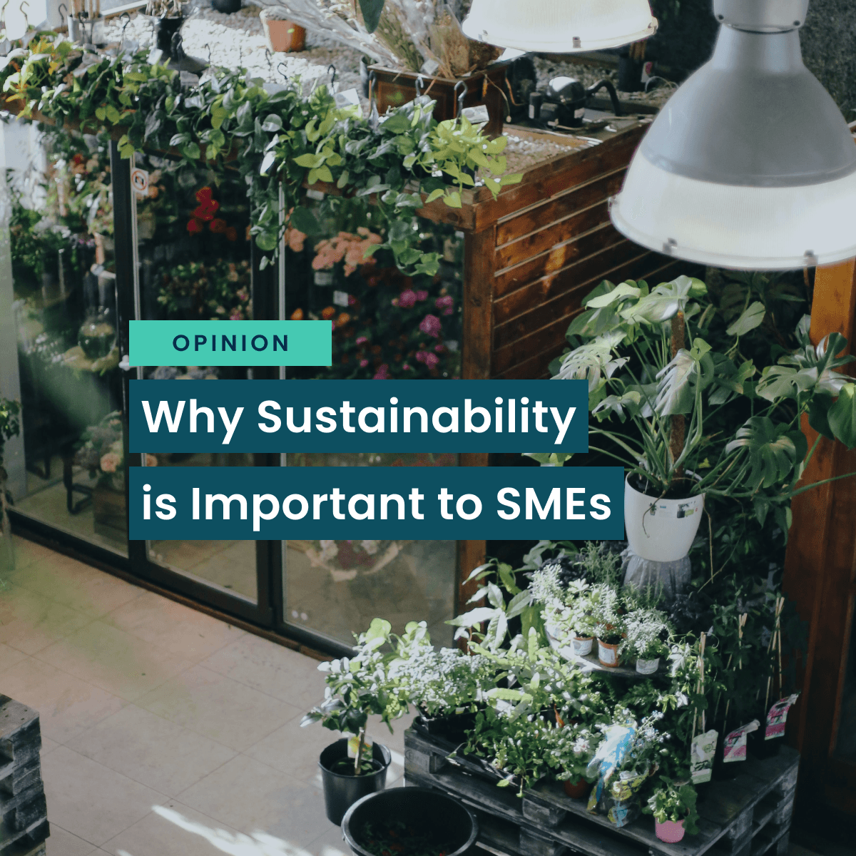 Why Sustainability is important to SMEs