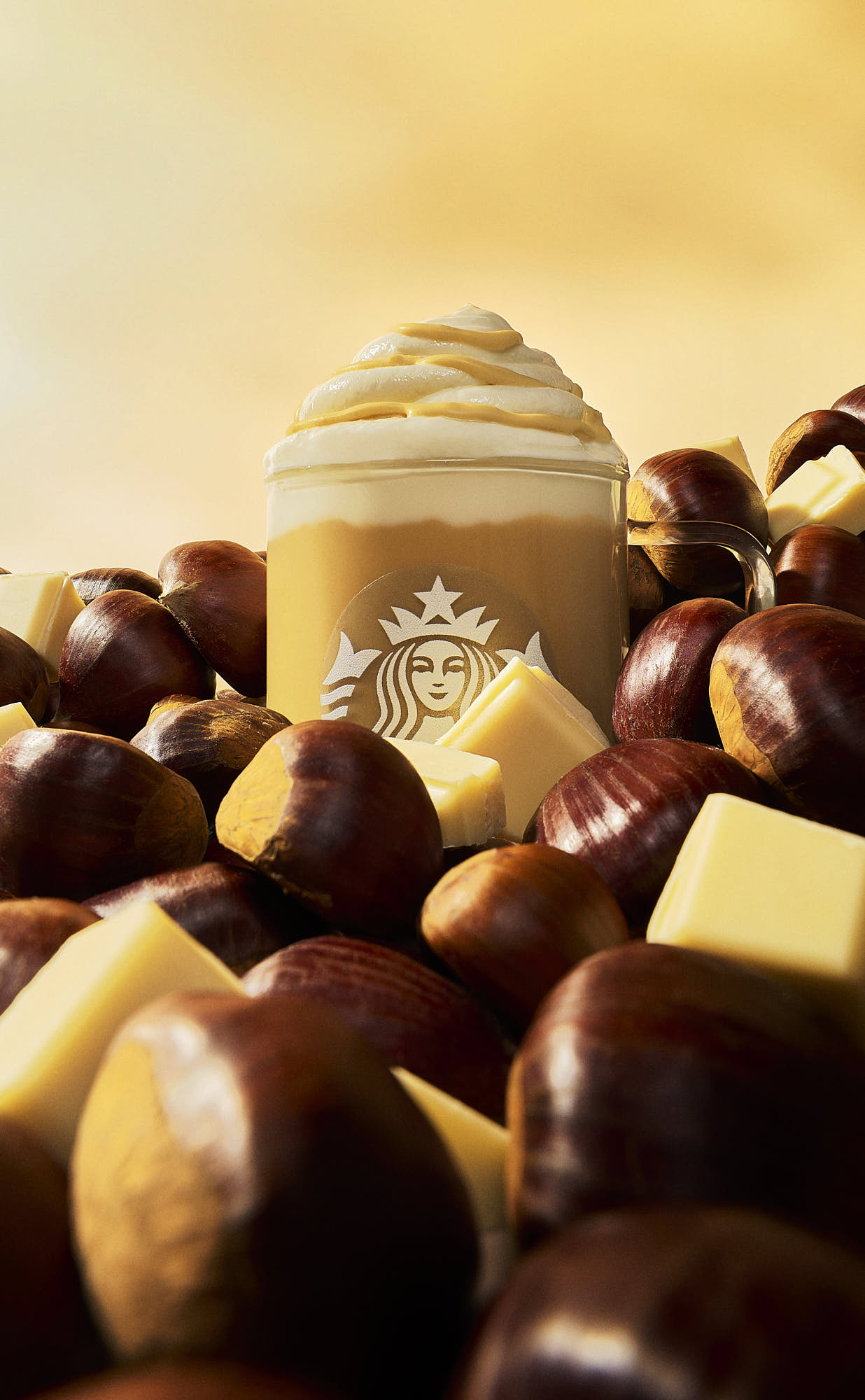 An assortment of chocolates with a frosted dessert in the background, set against a warm, soft light.