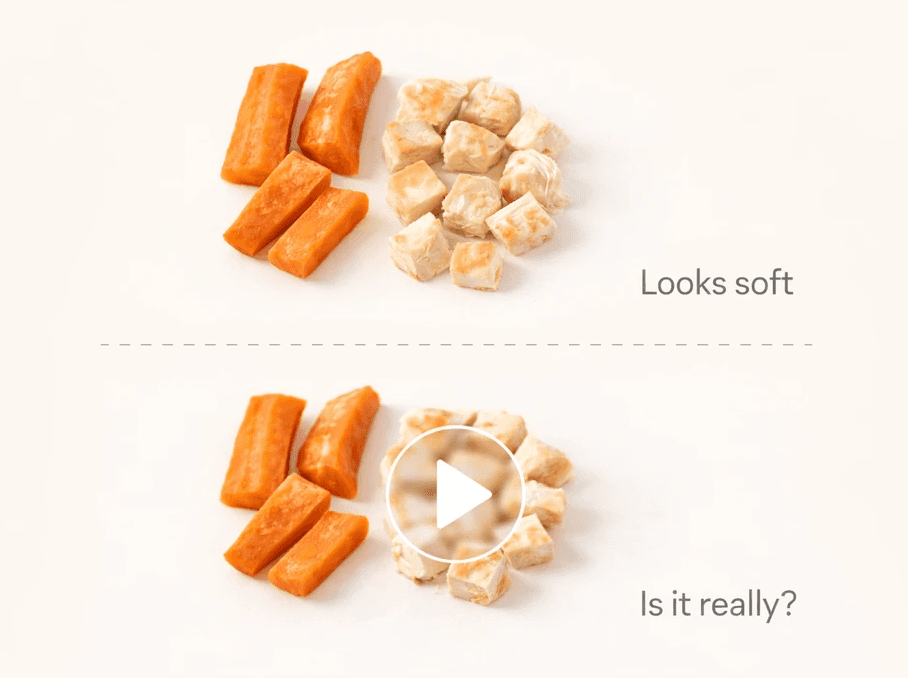 Why Videos Matter Even More Than Photos