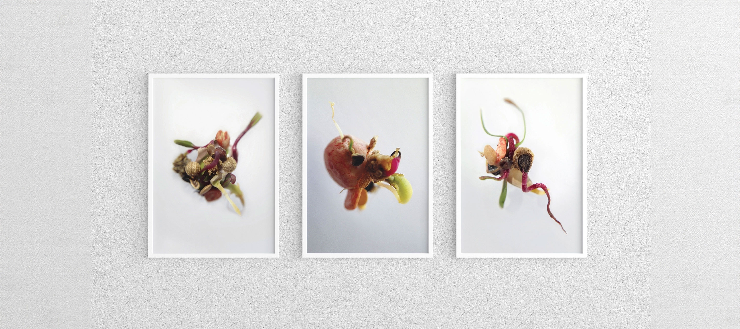 Seed sculptures